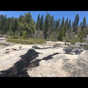 Meet your Posher, Samira